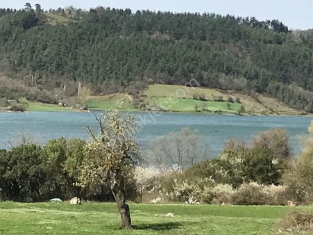 Sadece Olcaysu'dan Çınarcık/yenice'de 4625m2 Göl Manzaralı Yatırım Fırsatı!!