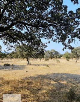 Çanakkale Ayvacik Korubaşında Firsa Arazi