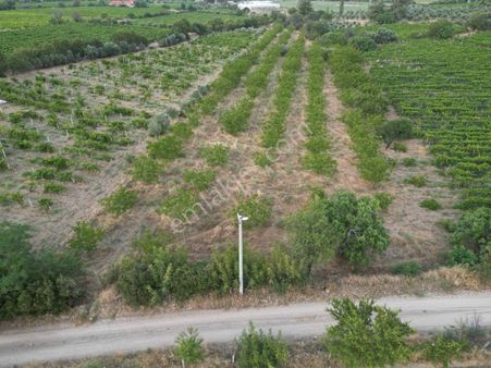 Mirac Emlaktan Buldan Da 8 Dönüm Ceviz Bahçemiz Satılıktır