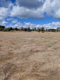 İzmir Urla Sıra Mevkinde Satılık 8 Dönüm Tarla