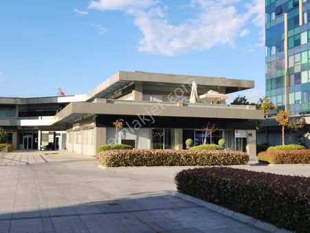 Nish İstanbul'da Satılık 600 M2 En İyi Konumlu Ve Teraslı Mağaza