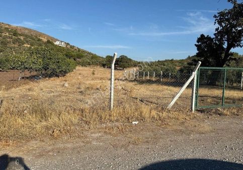 Kurallar Gayrimenkulden Kuyualan Mah Tarla