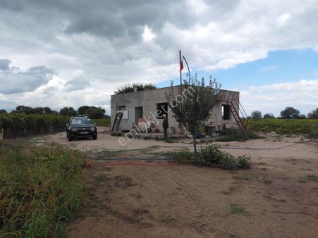 Manisa Horozköy Da Satılık 12.dönüm Bağlı Tarla 9.800.000 Tl