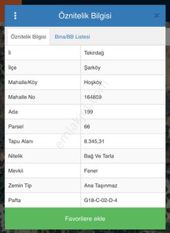 Tekirdağ Şarköy Hoşköy’de 8345 Metrekare Deniz Manzaralı Zeytinlik