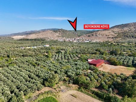 Aras Emlaktan Havran Büyükdere Köyünde 18 Dönüm Çiftlik