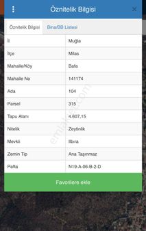 🌿 Satılık Zeytinlik – Muğla / Milas / Bafa Köyü -52