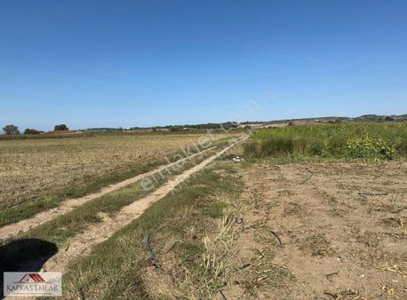 10 Dönüm Verimli Tarım Arazisi