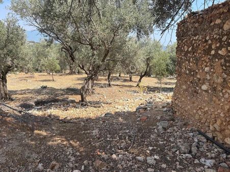Seydikemer İlçesi , Köyiçi İmarlı Tarla Ev
