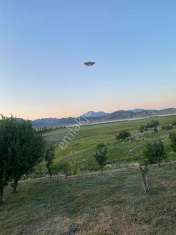 Seydikemer Yayla Alaçatta(girdev Yaylasında) Fırsat Arazi