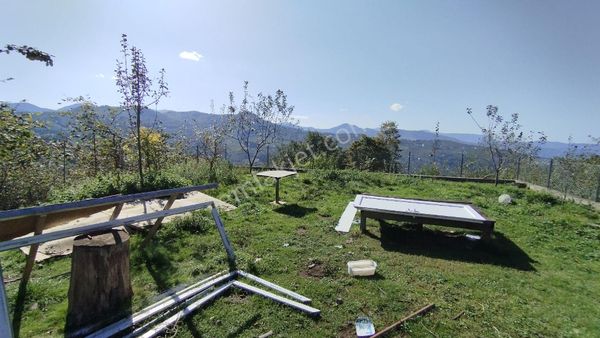 Huzurlu Yaşam Alanı: Geçit Mahallesi’nde Barakalı 2 Dönüm Arsa Satılık!