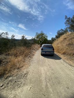 Satılık Ömerbey Mah Tapulu Kadastro Yoluna Cephe 1100m2 Fırsat Arazi