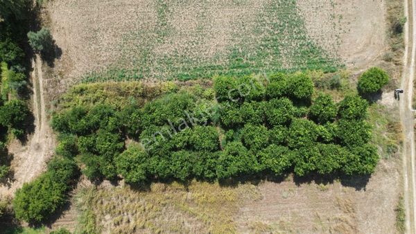Konut Emlaktan Satılık