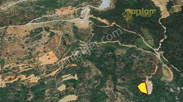 Satılık Tarla Alanya Yenice Mh.