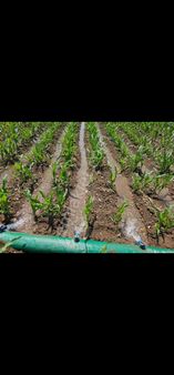 İmar Sınırında Düz Zemin