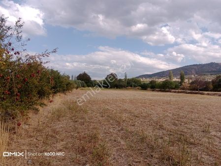 Aydın Kuyucak Karapınar-çamdibi Köyü Arasında Çiftliğeuygun Satılık Tarla