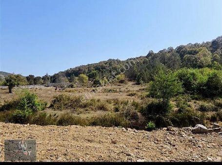 Yatırıma Uygun 4028m2 Villa İmarlı Arsa- Şile Bıçkıdere