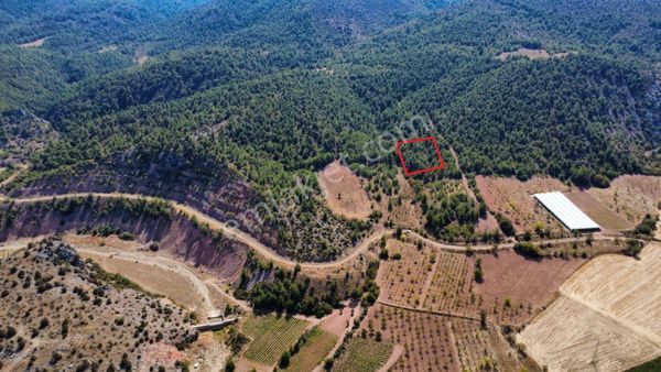 Bilecik Söğüt Geçitli Mah. 1012 M2 Meyve Bahçesi Yanı Yolu Var