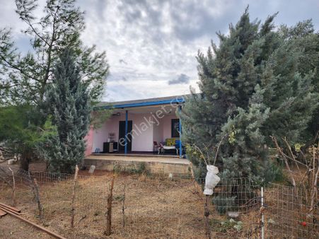 Lookhause Dan Akçalarda Satılık Meyve Bahçesi