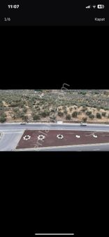 Balikesir-havran Yolu Üzeri Köylüce Girişi Satılık Muhteşem Zeytinlik