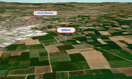 Erenler'de Yatırımlık 5000m2 Lık Satılık Tarla