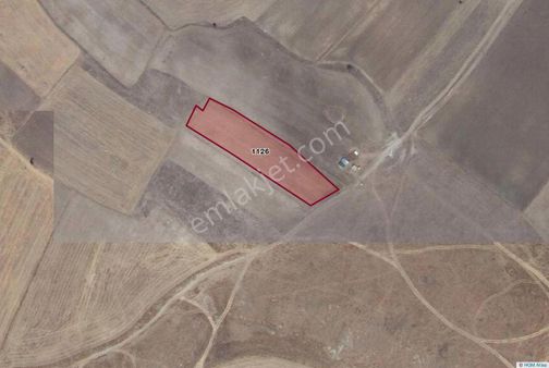 Afyonkarahısar İscehısar Çalışlar'da 4.800 M² Satılık Tarla