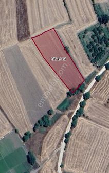 🌾 Burdur Çeltikçi’de Uygun Fiyata Tarla 🌾