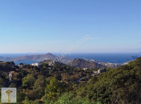 Ana Cadde Cepheli Ve Deniz Manzaralı Arazi !!!