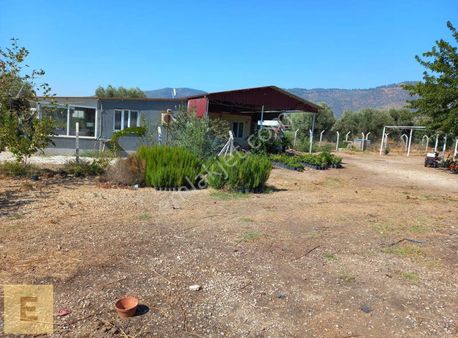 Erşar Emlak'tan Satılık Anayolda Düz Arazi Ve Sera