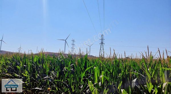 Aliağa Ovasında Organize Sanayi Ve Otoban A Yakın Konumda 5700m2