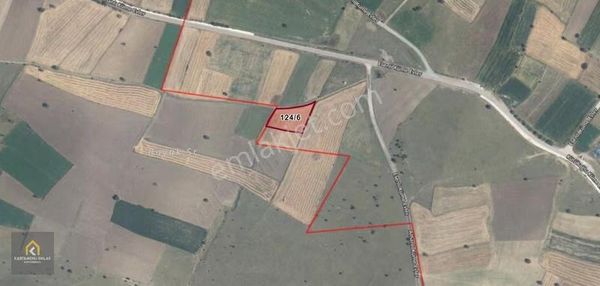 Kastamonu Emlak Gayrimenkulden Satılık Esenli Köyü 2584 M² Tarla