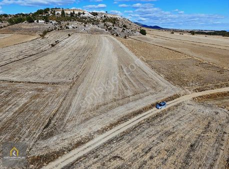 Satılık Duruçay Köyü Anayola Merkeze Yakın 7814 M² Tarla