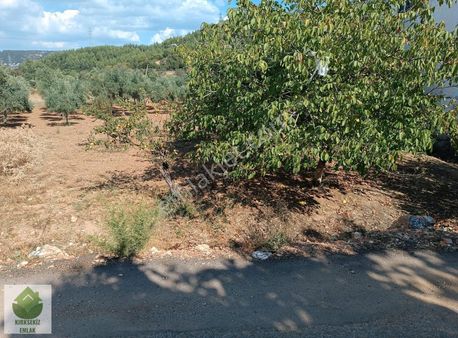 Muğla Menteşe Gülağzı'nda Yatırımlık Tarla...