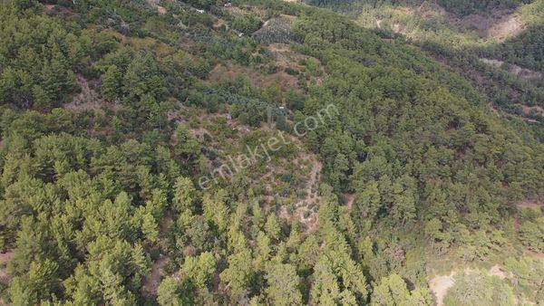 Antalya Kumluca Karacaören’de 7.330 M² Satılık Yatırımlık Bahçe