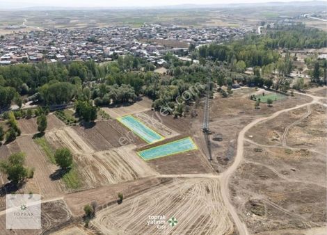 Afyonkarahisar Anıtkayada Ağaçlar İçinde 2 Ayrı Bahçelik Arazi