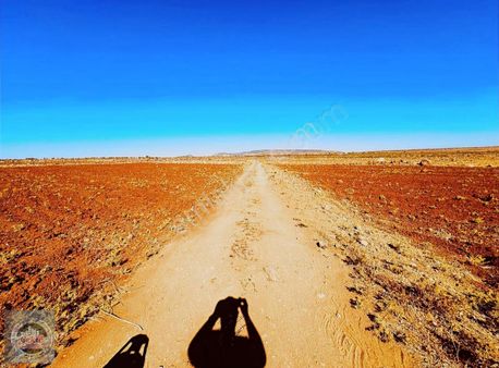 Yavuzlu Da Yol Üzeri Yatırımlık Arazi