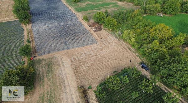 1308 M2 Fırsat Arazisi Tek Tapu Ovada Harika Nokta Kaçırma!!!!!!