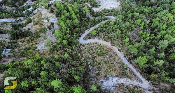 Alanya Dim Barajı Üstü Uğurlu Gıvrasıl Da Satılık 2.232 M2 Tarla