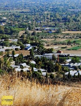 İzmir Bayındır Tek Tapu Komple Manzaraya Hakim-satılık Zeytinlik
