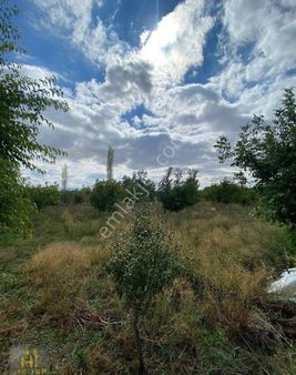 Merzifon Bahçecik Mahallesinde Satılık Arsa