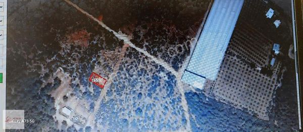 Antalya ,aksu ,,topallı,,344m2,,villa İmarlı