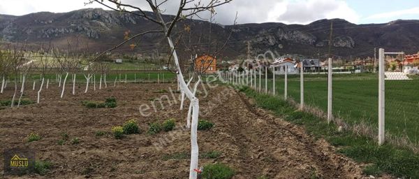 Muslu Gayrimenkulden Satılık Tek Tapu Hobi Bahçesi