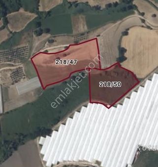 Alaçatta Cok Verimli Arazi