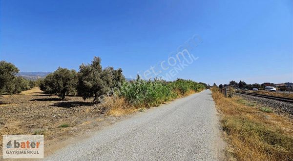 Bater'den Kardeşköy'de Yatırımlık 7.290 M² Tarla