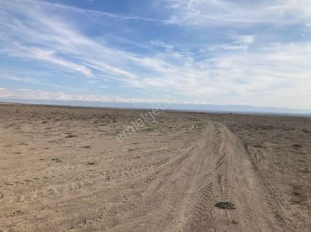 Konyaeregli Kutrende Satilik Tarla