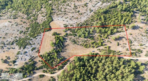 Bayır'da Baraja Yakın Zeytinliklere Komşu 15 Dönüm Fırsat Tarla!