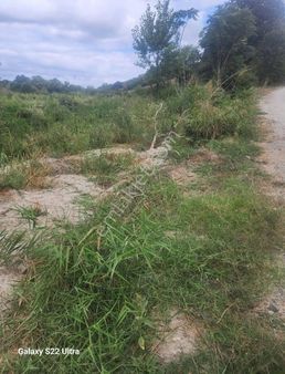 Mudanya Yamanköyde Yatırımlık Tarla