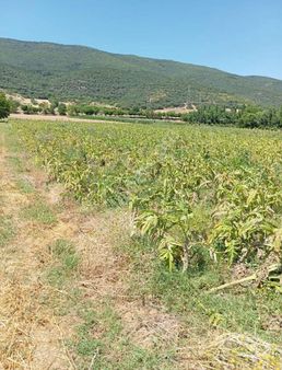 Yenişehir De Marmaracıkgöl De Mükemmel Konumda Tarla