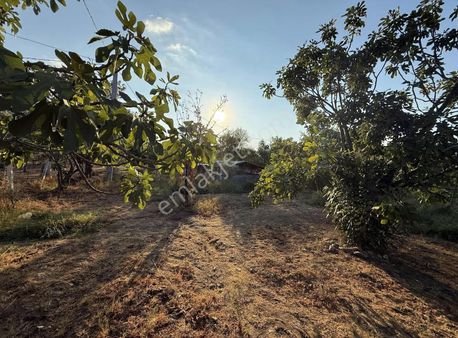 Pek Emlaktan 2112m2 Yuvalı Da İki Katlı Satılık Bahçe Ve Ev