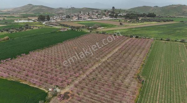 Pek Emlaktan Şeftali Bahçesi 25.800 M2 Asfalt Kenarı 2 Adet Sulu