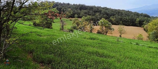 Taraklı Dışdedeler Mahallesi Uygun Fiyatlı Yatırımlık